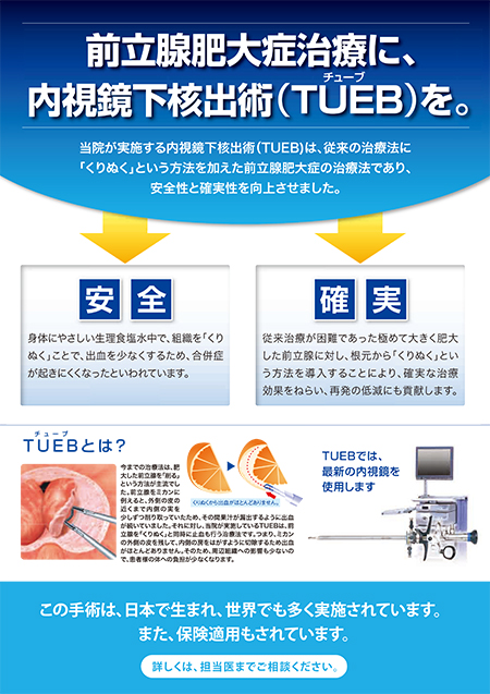 経尿道的前立腺核出術：TUEB（チューブ）